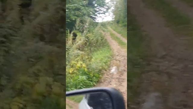 Серьезная горка для Renault Koleos смотреть онлайн