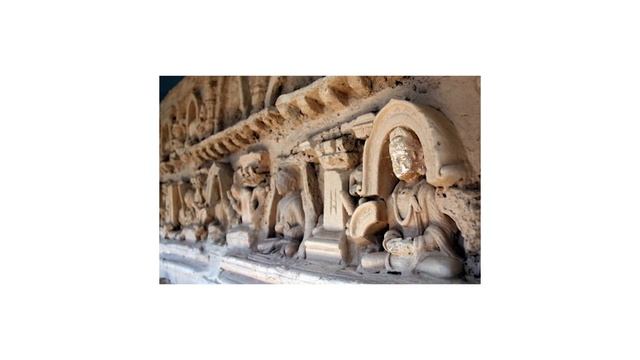 Шокирующие результаты ДНК-теста ? | Национальность и склонность к полноте | Элина Федорова смотреть онлайн