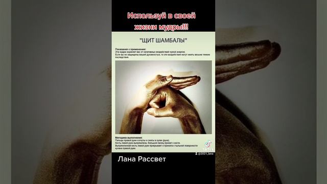 Используй в своей жизни смотреть онлайн