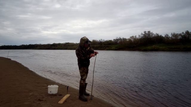 вторая разведка на осеннего налима. Осенний налим 2020 смотреть онлайн