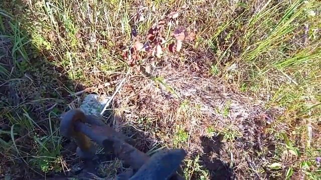 Выход в поле с металлоискателем смотреть онлайн