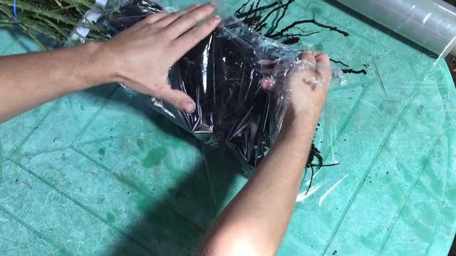 Упаковка Роз для Отправки! ОТ АРОМАТ-РОЗ смотреть онлайн