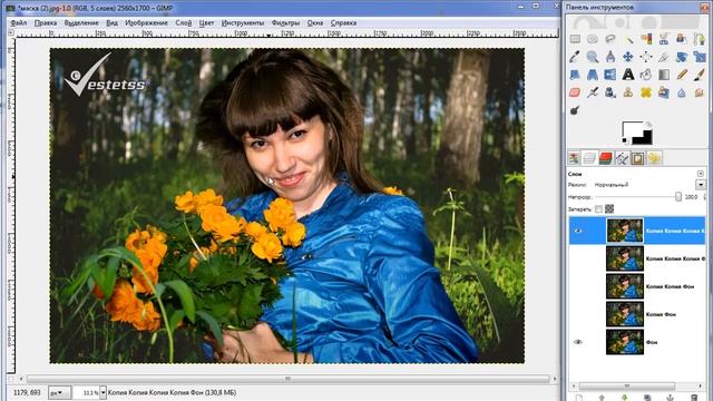 Обработка фотографии Быстрая маска Выделение волос Тонирование Gimp уроки. смотреть онлайн