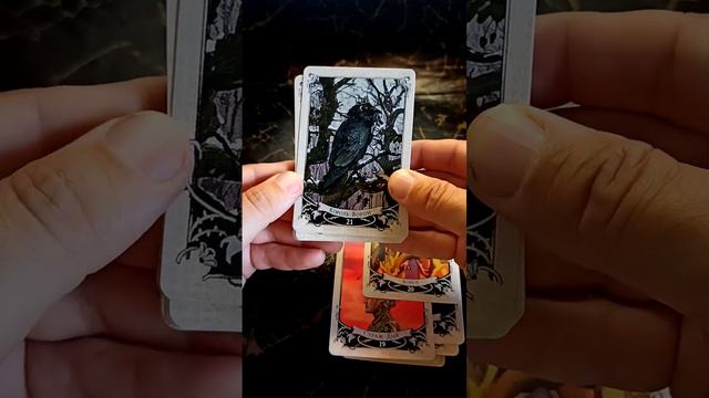 Большой Обзор на колоду "Оракул Чародея" (Издательство Велигор) смотреть онлайн