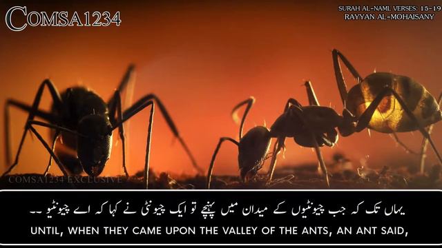 Surah An-Naml Ayat 15-19 Rayan Al Mohaisany  ولقد اتينا داود وسليمان علما - ريان المحيسني