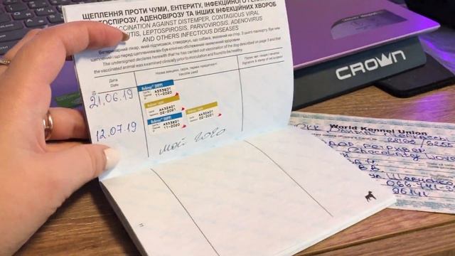 Документы на собаку. Какие документы должны выдать с собакой. Щенячка, ветеринарный паспорт смотреть онлайн