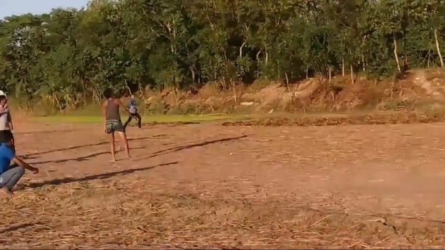 Top 5 wickets in villages cricket wow just funny смотреть онлайн