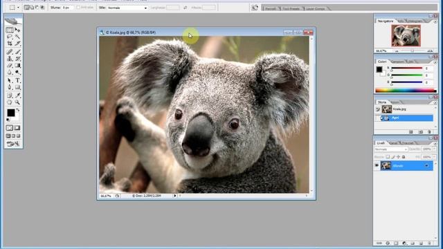 2014 12 photoshop 01 смотреть онлайн