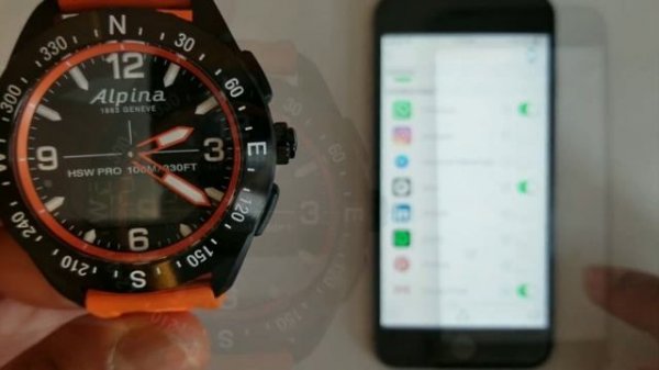 Alpina alpinerx review