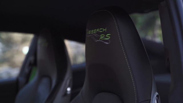 Weissach Lizard Green GT3RS In [4K]