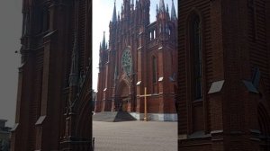 Собор Непорочного Зачатия Пресвятой Девы Марии (Москва)