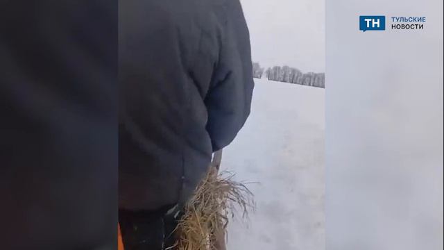 Тульская бригада скорой помощи доехали до пациента на лошади смотреть онлайн