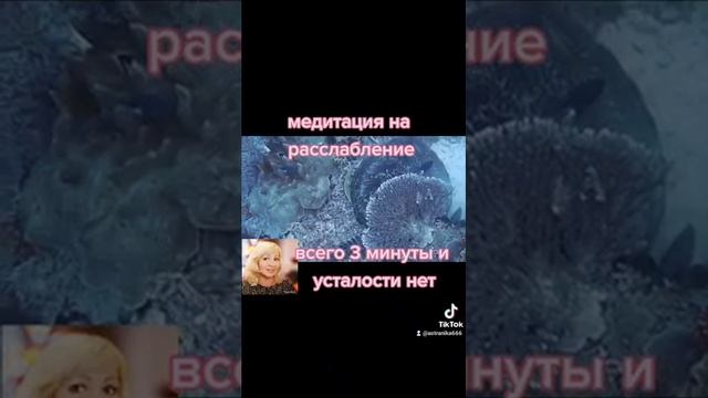 медитация расслабления, всего 3 минуты.... в потоке Рейки смотреть онлайн