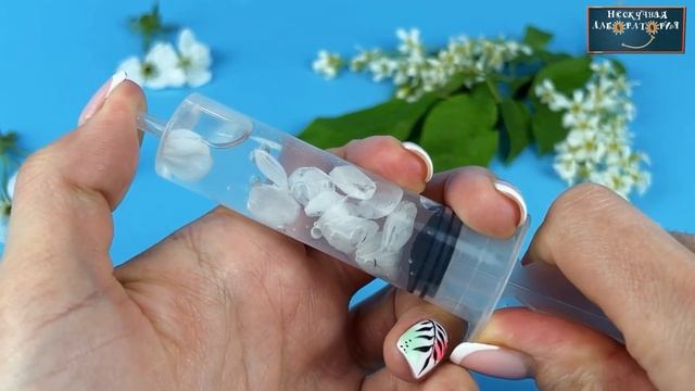 Почему у цветущих деревьев чаще белые лепестки? Опыт для детей с цветами смотреть онлайн