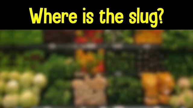 Can you GUESS WHERE IS HIDDEN ANIMAL ? FIND THE ANIMAL GAME смотреть онлайн