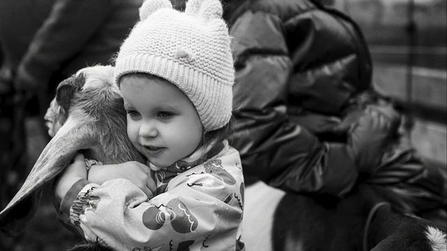 ФОТОССЕСИЯ: ВСЁ О МНОГОДЕТНОМ СЧАСТЬЕ! All about happiness смотреть онлайн