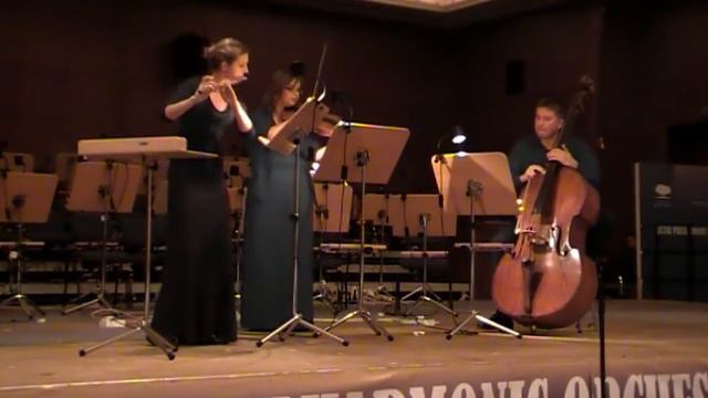 E. Schulhoff: Concertino for flute (piccolo), viola and contrabass/4. Rondino, Allegro Gaio смотреть онлайн