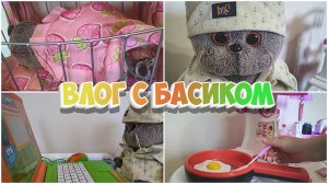 МОЕ УТРО С БАСИКОМ #котбасик #басики