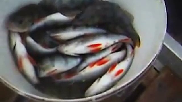 рыбалка под нижегородским гэс смотреть онлайн