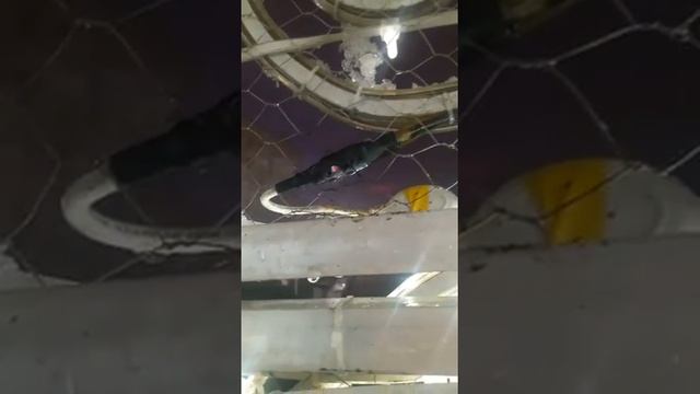 Шар бьет током смотреть онлайн