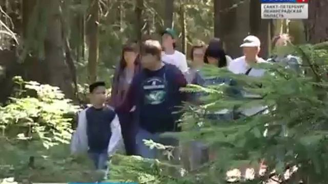 Комарово приглашает на экотропу (30 июля 2015 года) смотреть онлайн