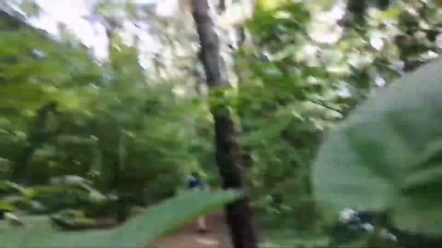 ЛЕТО 2019 смотреть онлайн