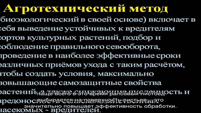 Вредитель крестоцветных культур рапсовый листоед и эффективная борьба с ним смотреть онлайн