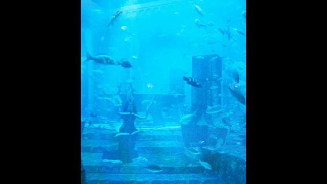 Bloody Roar 4 ost: Aquarium Ruins (Requested) смотреть онлайн