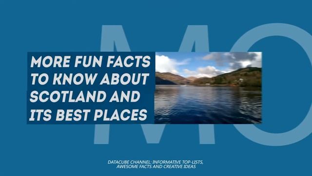 What Is The Penguin Parade In Edinburgh – Travel Facts About Scotland