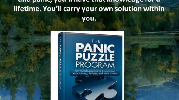 Panic Puzzle Program