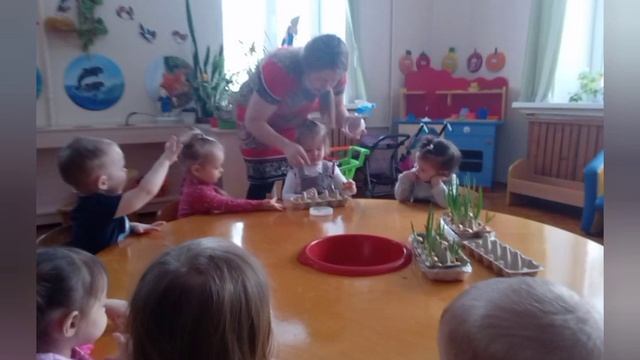 Огород на подоконнике в детском саду смотреть онлайн