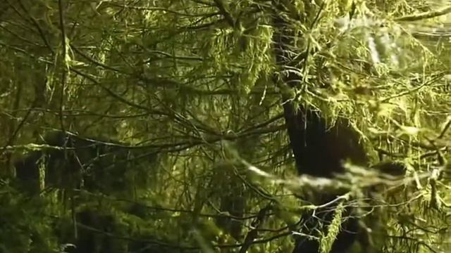 Очень красивая история, из жизни пророка Мухаммада ﷺ смотреть онлайн