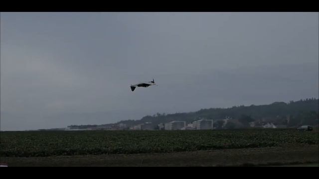 A6M ZERO 1400mm ARF смотреть онлайн
