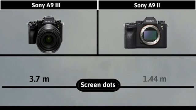 Sony A9 III Vs Sony A9 II | Confirmed Price смотреть онлайн