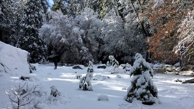 природа смотреть онлайн