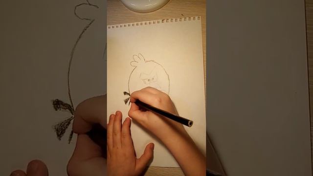 Рисуем птицу из Angry Birds ! смотреть онлайн