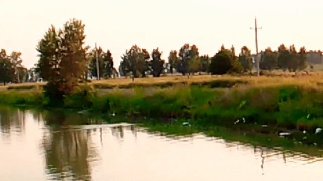 Отдых в Турции. Влог 8. Очумелые чайки 😨😨 смотреть онлайн