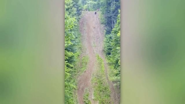 MOMENTS WHEN THINGS WENT WRONG | BEST OF 2022 смотреть онлайн