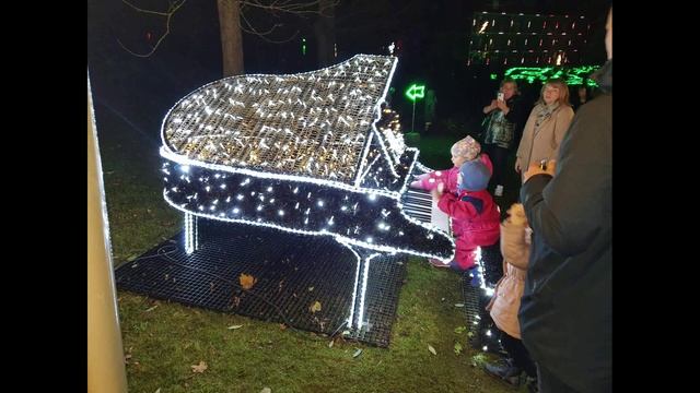 2022.10.29 Световое шоу в Ботаническом саду-2