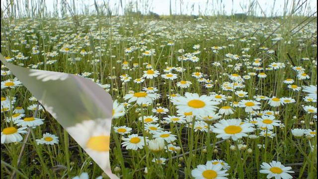 уголок 3 смотреть онлайн