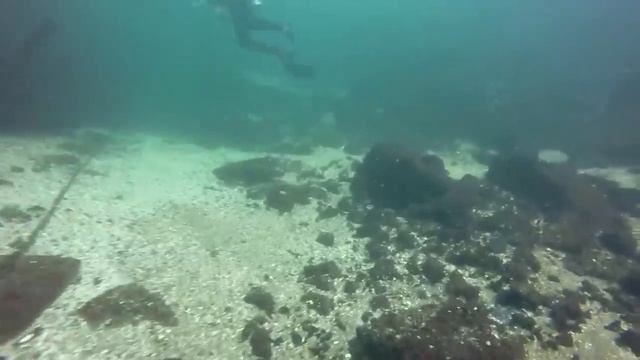 Scuba Dive Gone Wrong смотреть онлайн