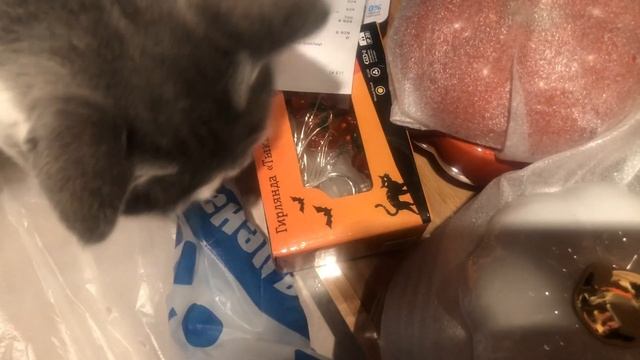 Ереван Влог. Покупки С Вайлдберрис И Не Только. смотреть онлайн