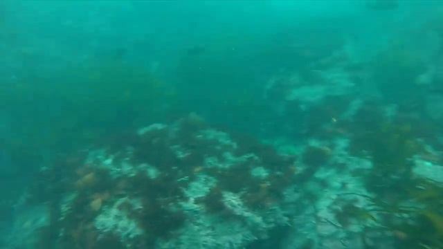 Blasting Blues смотреть онлайн