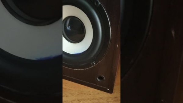 Работа динамика, колонки aceline asp 400.