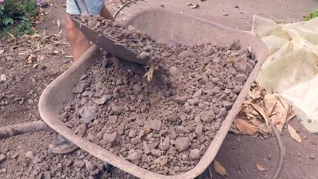 Gardening With Ghislain