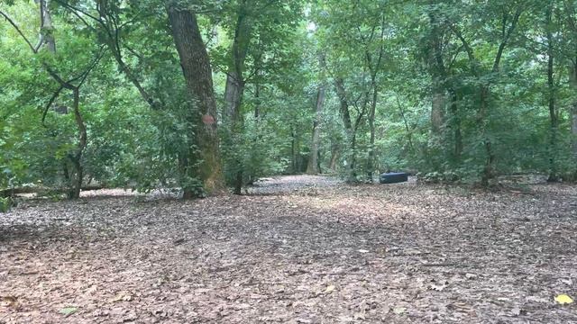 ?‼️Naomi Furdui a fost găsită‼️ смотреть онлайн