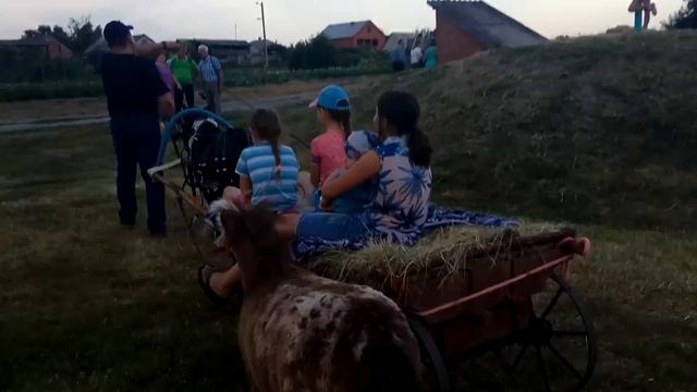 настоящие пони. праздник. смотреть онлайн