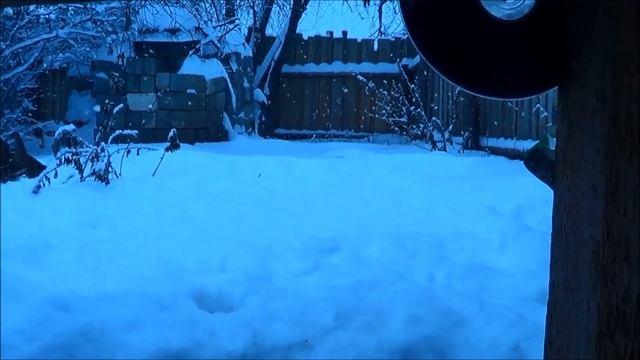 ПОДСАДНЫЕ УТКИ / Содержание Уток в Зимнее время на Северном Урале. смотреть онлайн