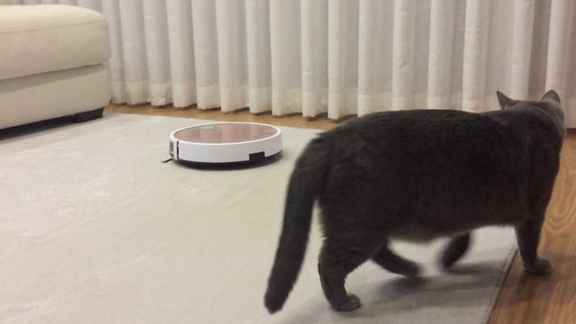 ILIFE V7S Smart Robotic Vacuum Cleaner смотреть онлайн