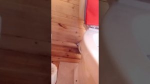 Унитаз на даче